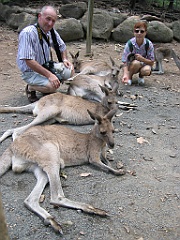 046 Cairns Tropical Zoo